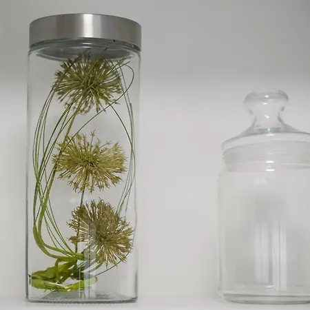 アパート Sunny W/ Balcony In By Lovelystay *